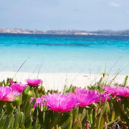 Toro's V - 4 Guests - 30'porto Cervo & Free Parking Porto Pozzo